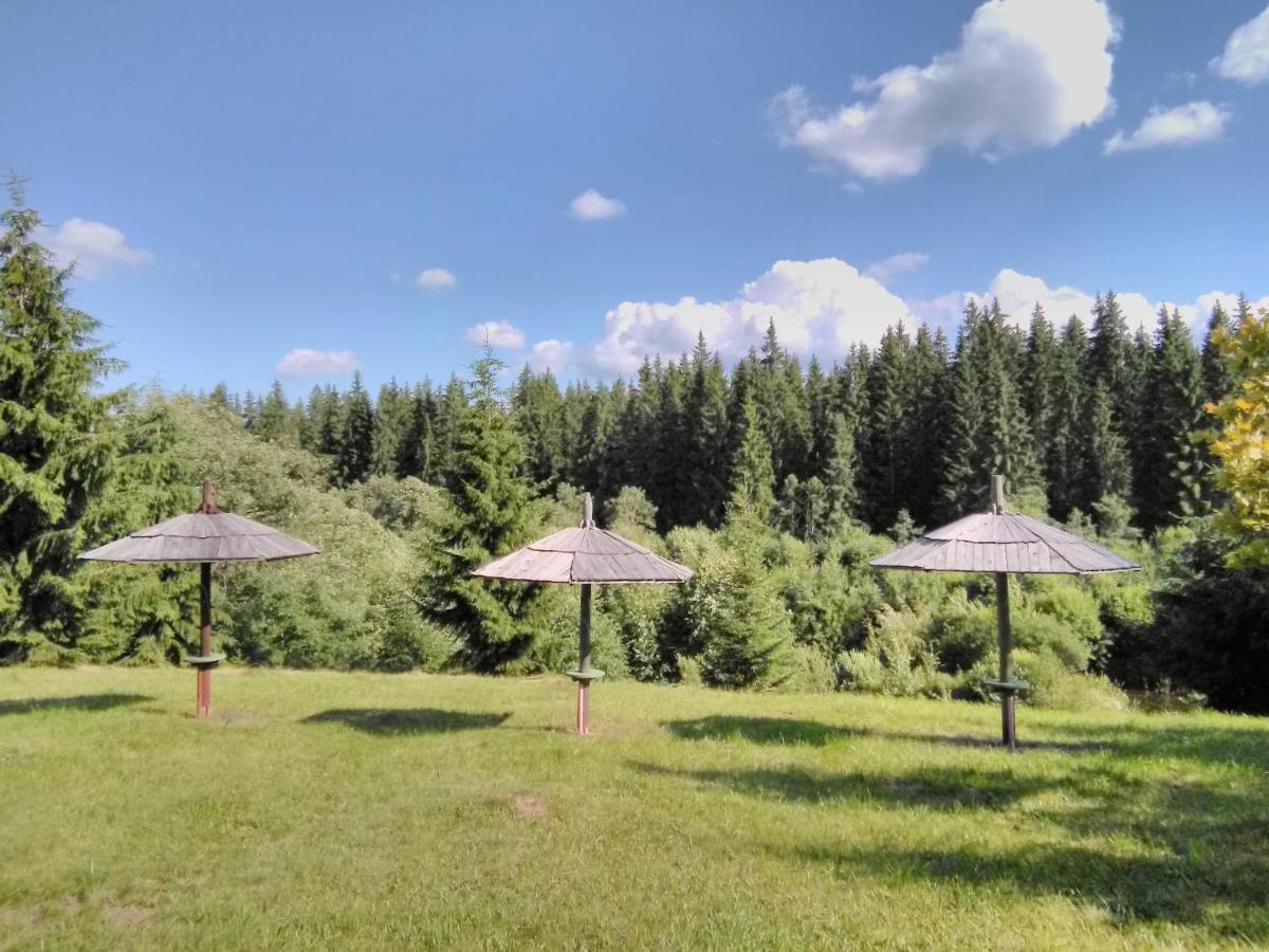 Casa Paltin Vila Si Cabane Poiana Stampei Экстерьер фото