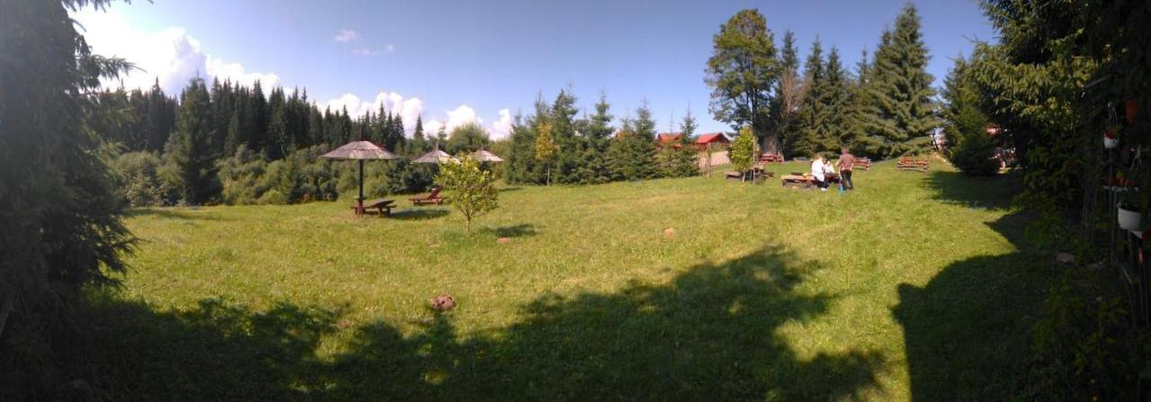 Casa Paltin Vila Si Cabane Poiana Stampei Экстерьер фото