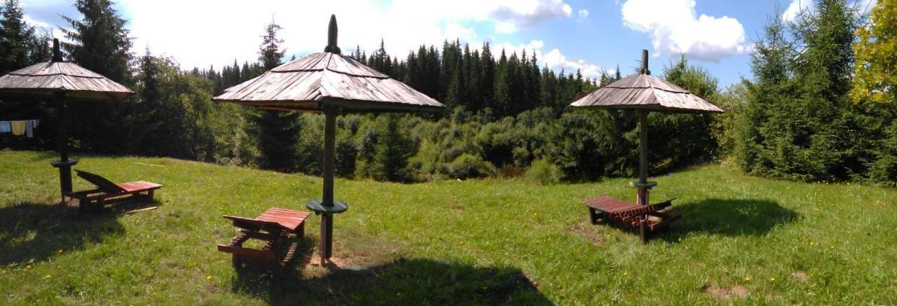 Casa Paltin Vila Si Cabane Poiana Stampei Экстерьер фото