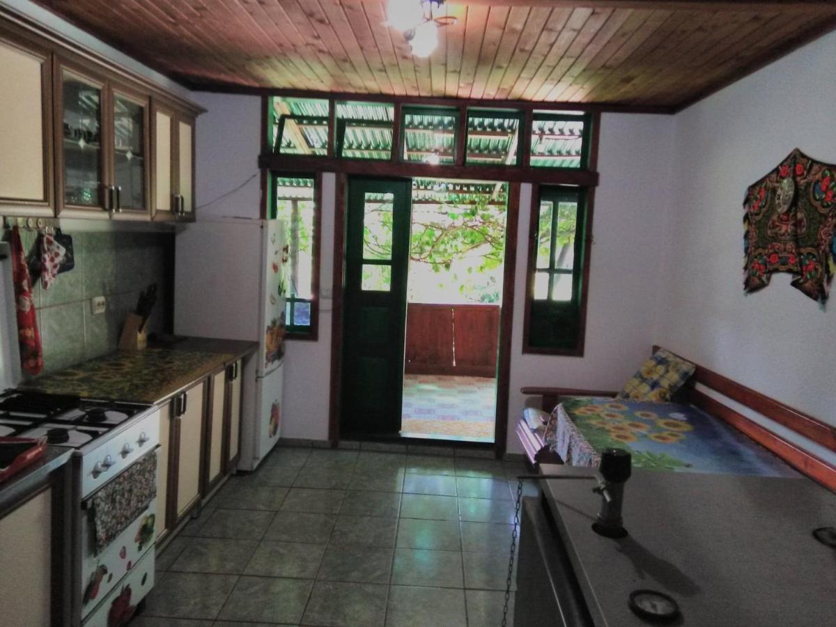Casa Paltin Vila Si Cabane Poiana Stampei Экстерьер фото
