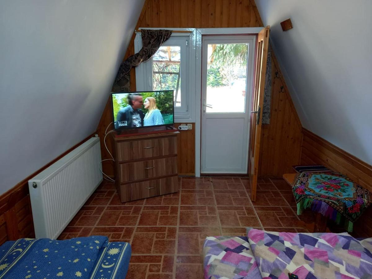 Casa Paltin Vila Si Cabane Poiana Stampei Экстерьер фото