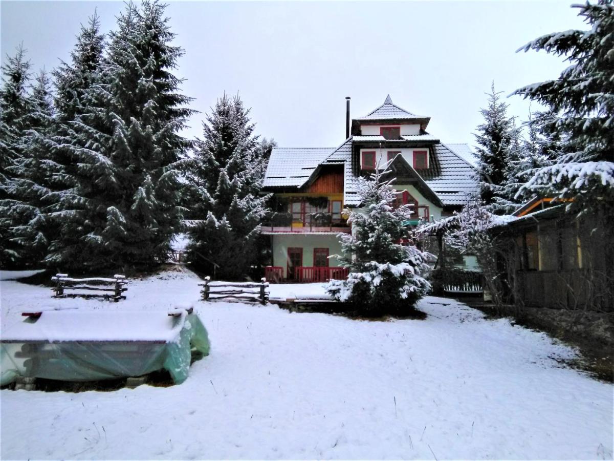 Casa Paltin Vila Si Cabane Poiana Stampei Экстерьер фото
