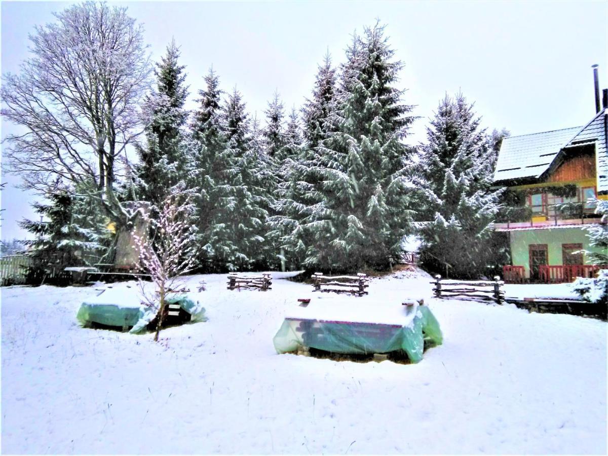 Casa Paltin Vila Si Cabane Poiana Stampei Экстерьер фото