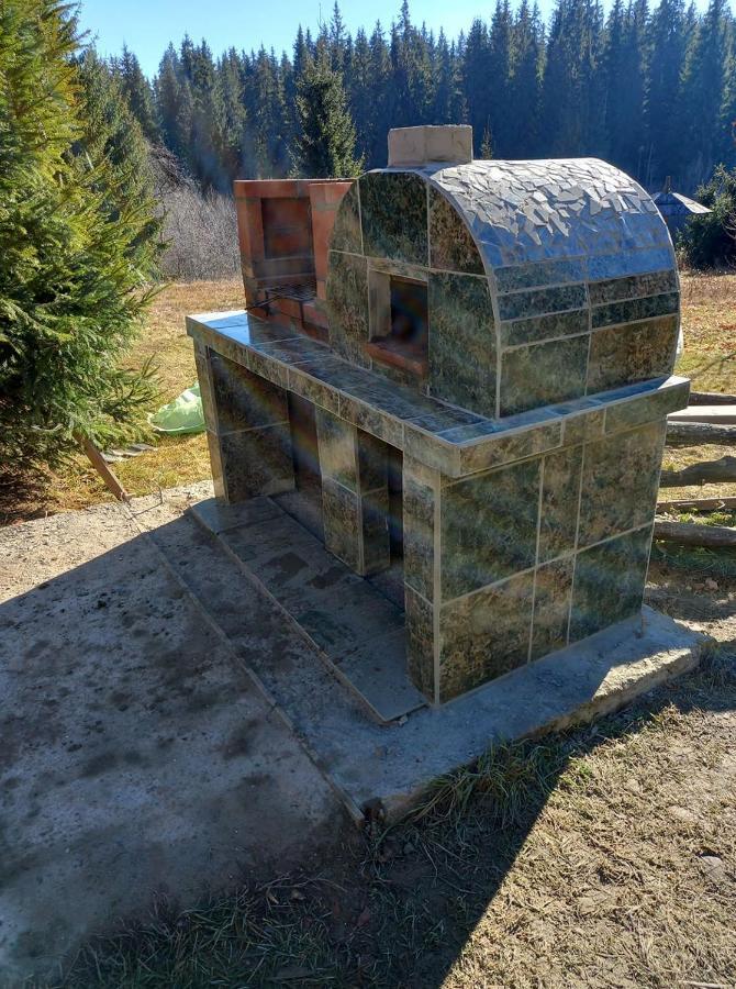 Casa Paltin Vila Si Cabane Poiana Stampei Экстерьер фото
