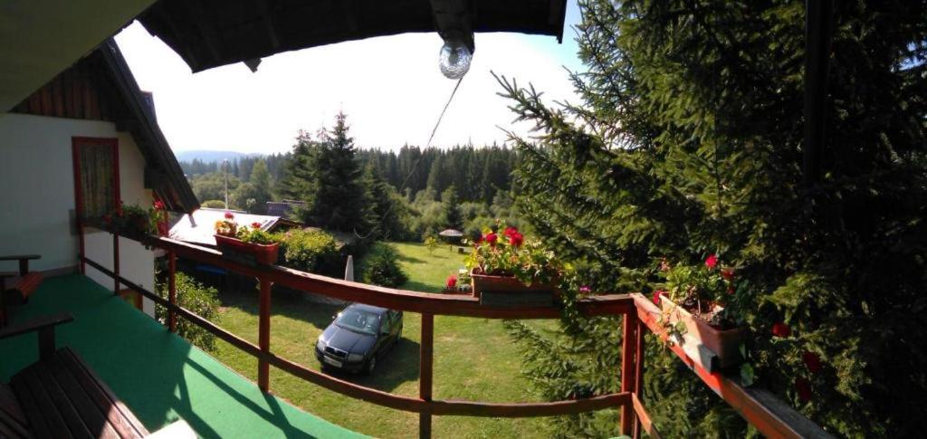 Casa Paltin Vila Si Cabane Poiana Stampei Экстерьер фото