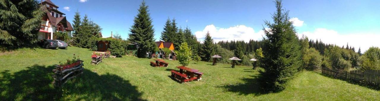 Casa Paltin Vila Si Cabane Poiana Stampei Экстерьер фото